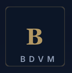 BDVM Capital